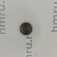 Поршень с кольцами (PTFE) для LPF/PPF-50(T)