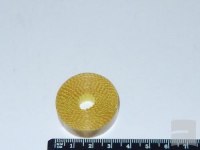 Лента тефлоновая MiniBig 1210х10.2х0.6